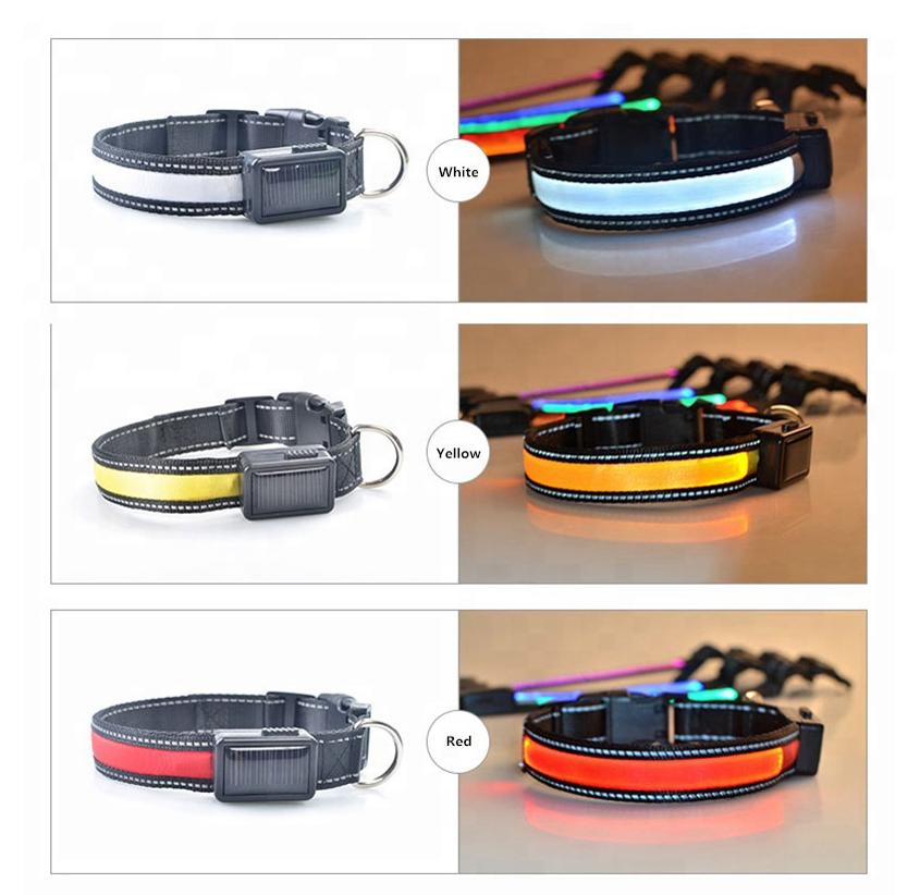 LED Solar Rechargeable Dog Collar - USB & Solar Charging for Night Safety