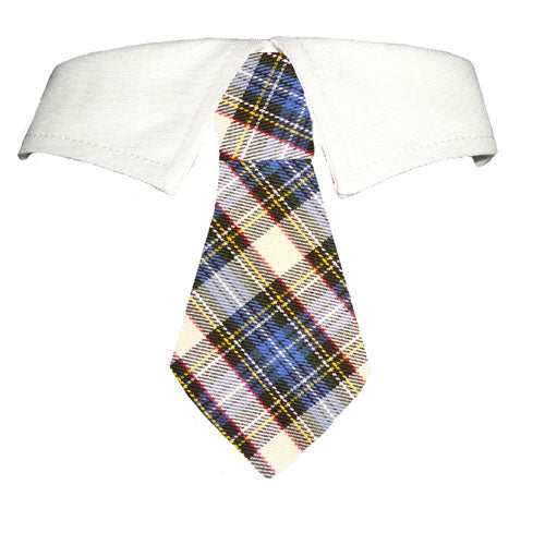 Blake Formal Shirt Collar with Detachable Tie - Stylish Dog Collar for Special Occasions