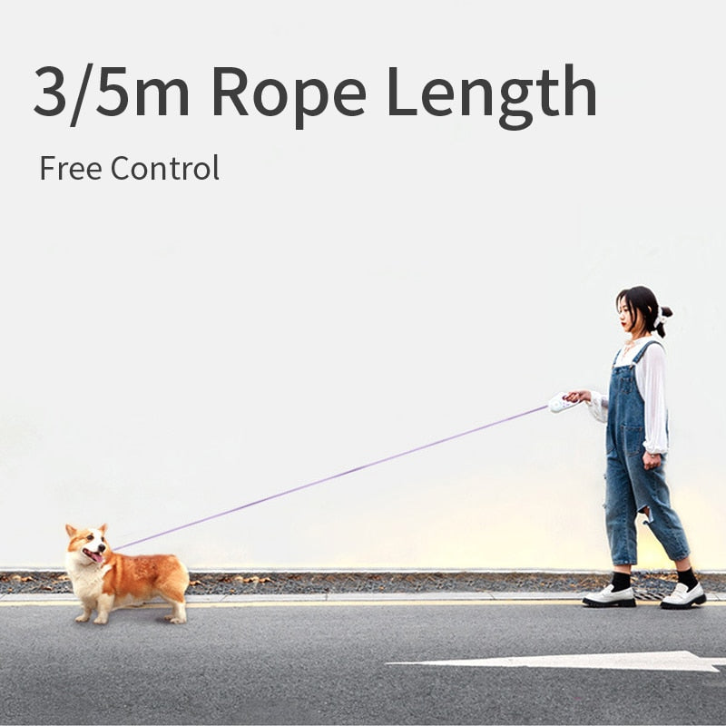 LED Retractable Dog Leash with Light - Safe Night Walking for Small to Medium Pets