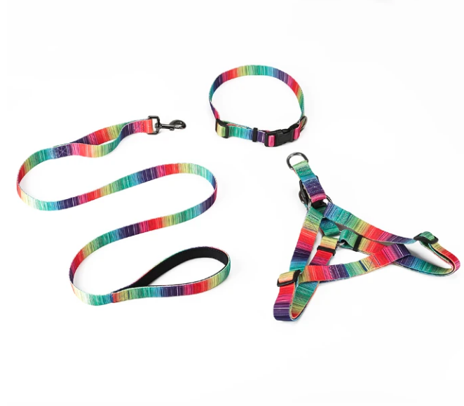 Complete Matching Dog Collar, Harness & Leash Set - 3-Piece Coordinated Walking Set