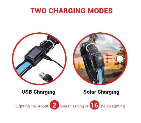 LED Solar Rechargeable Dog Collar - USB & Solar Charging for Night Safety