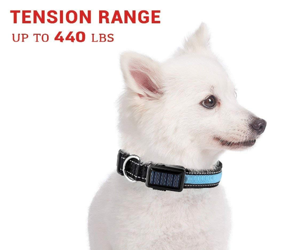 LED Solar Rechargeable Dog Collar - USB & Solar Charging for Night Safety