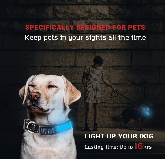 LED Solar Rechargeable Dog Collar - USB & Solar Charging for Night Safety