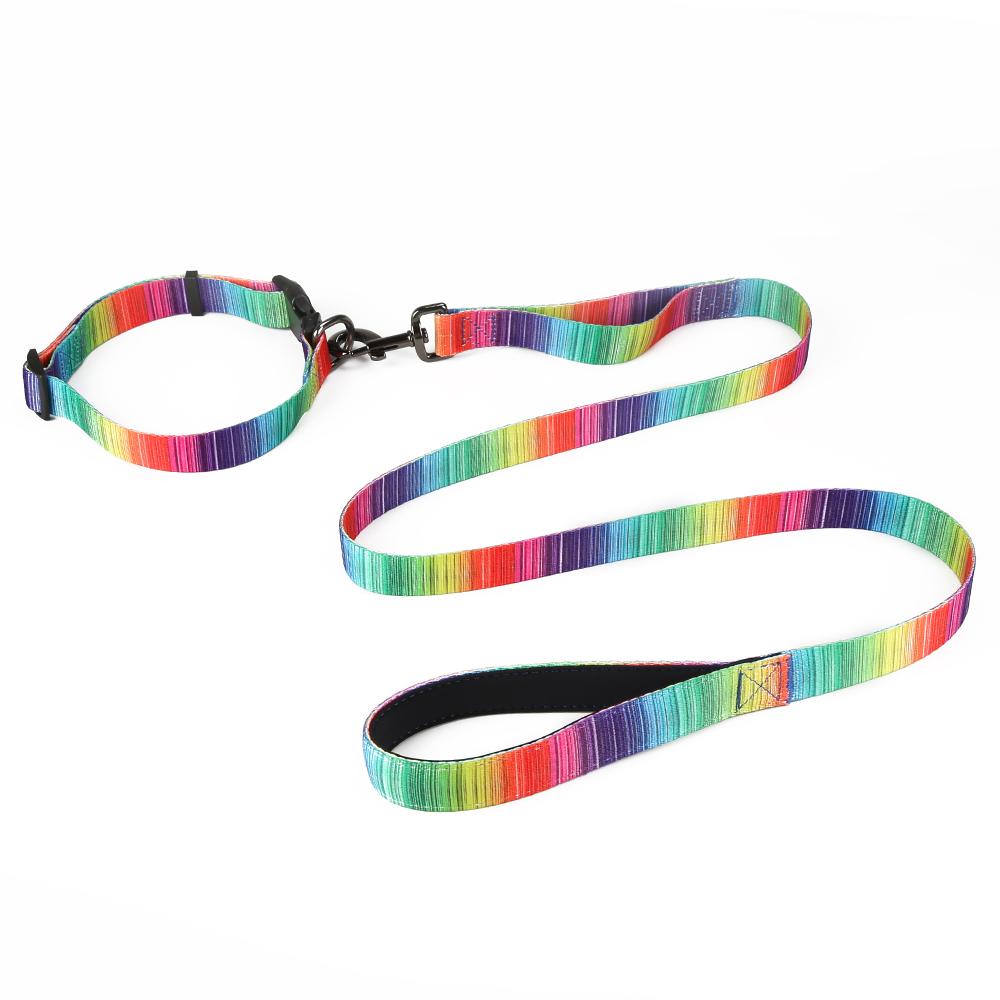 Complete Matching Dog Collar, Harness & Leash Set - 3-Piece Coordinated Walking Set