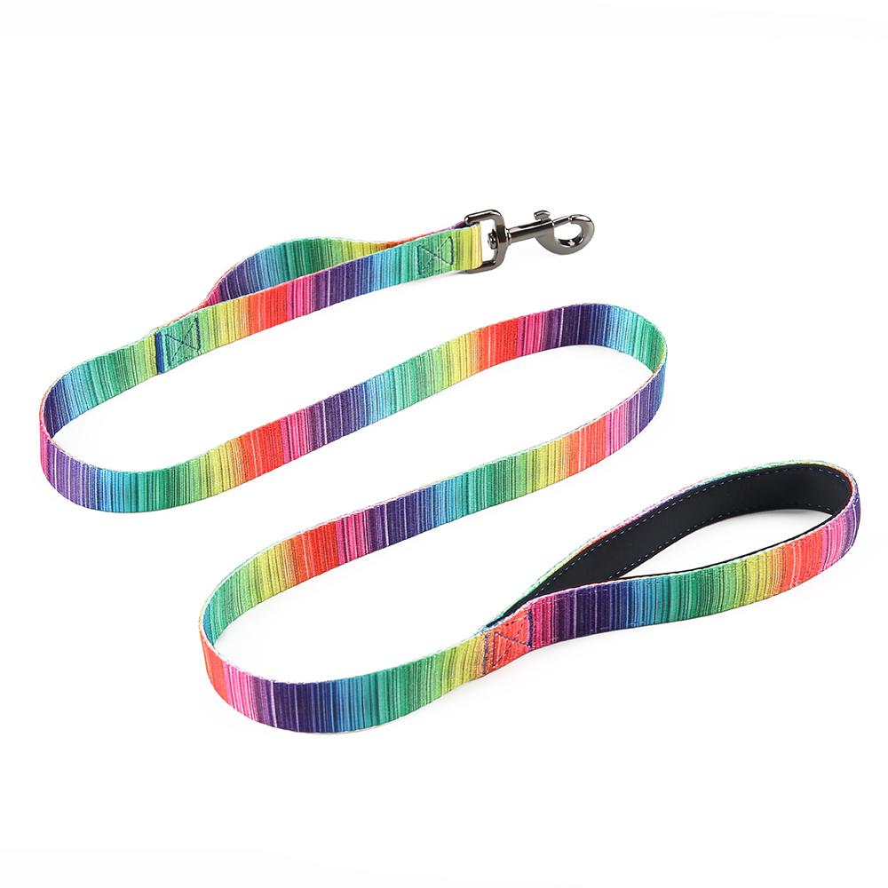 Complete Matching Dog Collar, Harness & Leash Set - 3-Piece Coordinated Walking Set