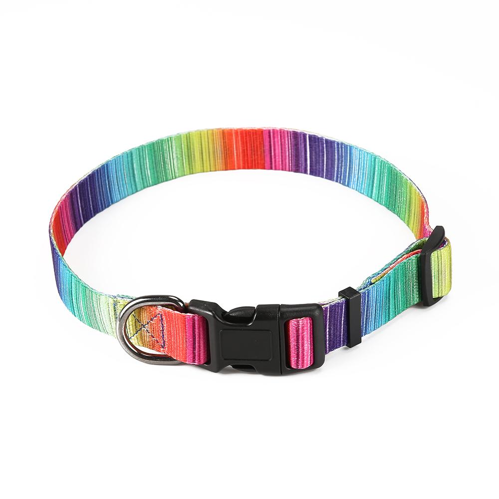 Complete Matching Dog Collar, Harness & Leash Set - 3-Piece Coordinated Walking Set
